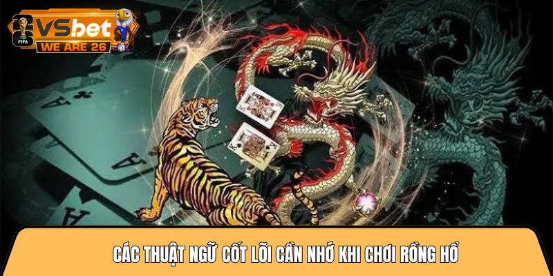 Các thuật ngữ cốt lõi cần nhớ khi chơi rồng hổ